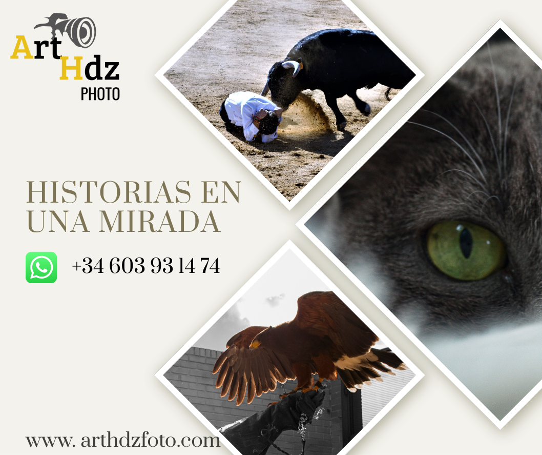 Art Hdz Fotograf&iacute;a 12