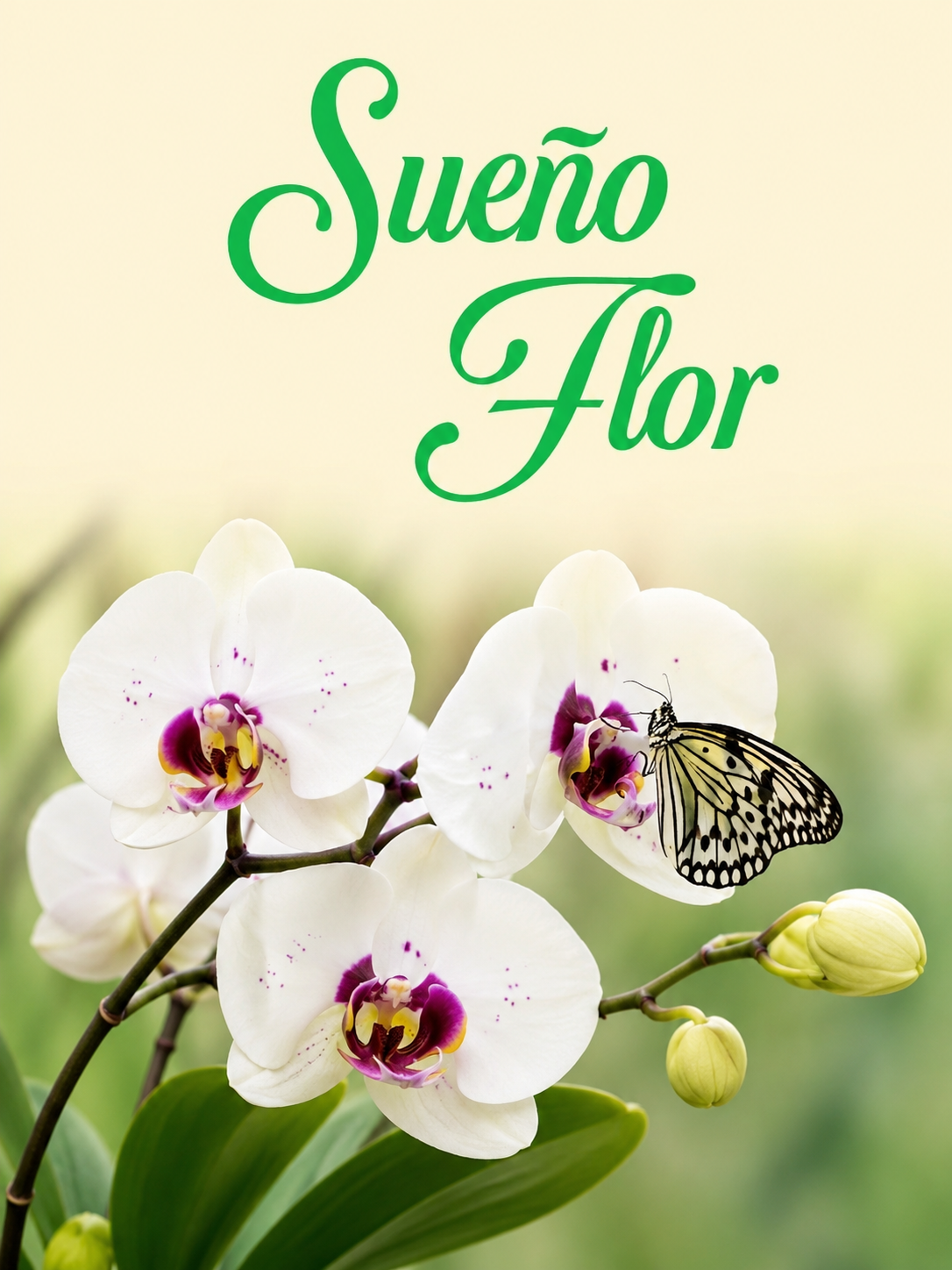 Sueño Flor