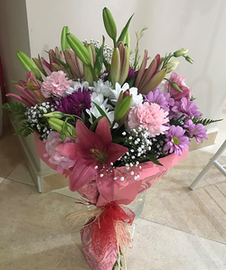 Galería de imágenes