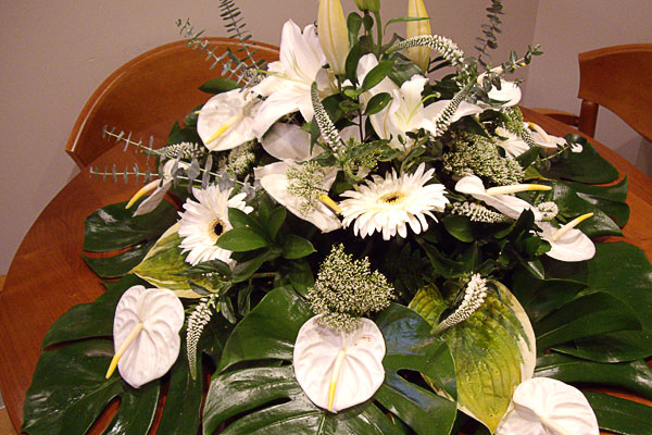 Galería de imágenes