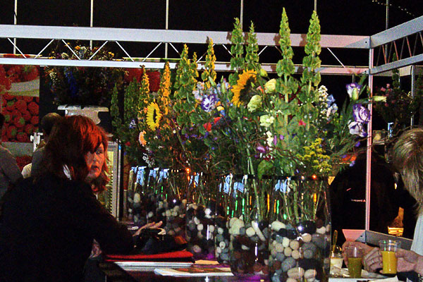 Galería de imágenes