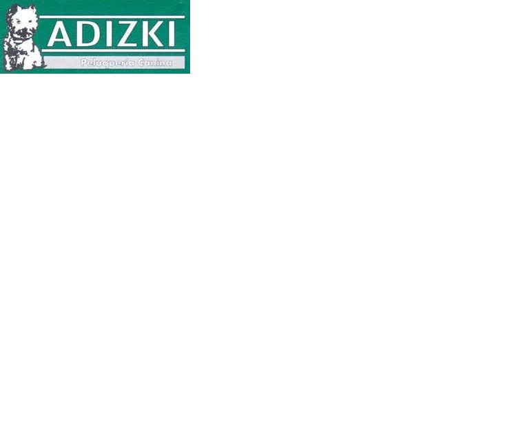 Adizki