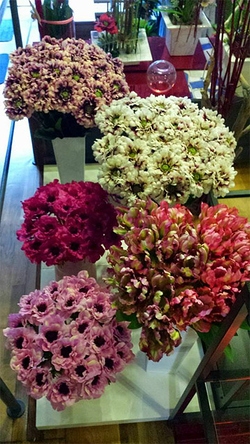 Galería de imágenes