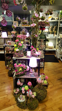 Galería de imágenes