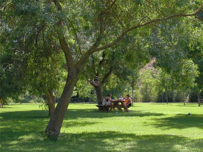 Camping Errota - El Molino 4