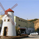 Galería de imágenes