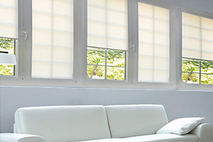 Galería de imágenes