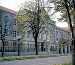 Galería de imágenes