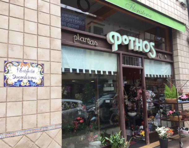 Florister&iacute;a Pothos FLORISTERIAS