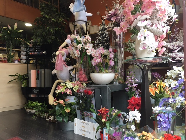 Florister&iacute;a Pothos 5