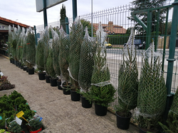 Galería de imágenes