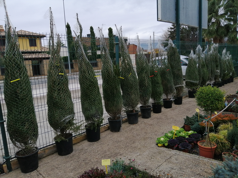 Centro De Jardiner&iacute;a Riojana Lardero