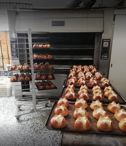 Galería de imágenes