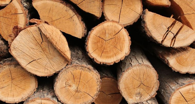 Hijos De Lorenzo Martin Barrio C.B. ASERRADEROS DE MADERA