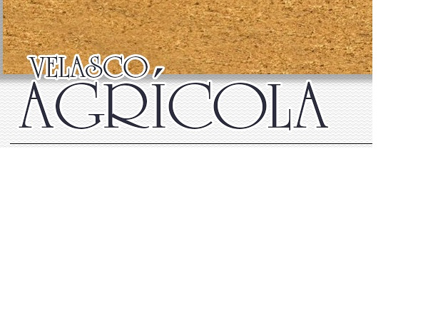 Velasco Agr&iacute;cola MAQUINARIA AGRICOLA: REPARACION