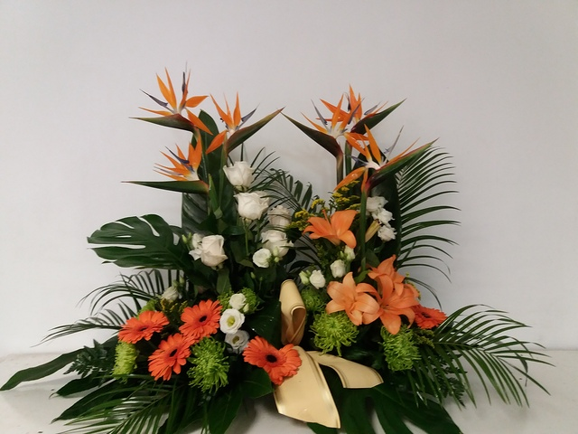 Flores Lázaro Baeta 4