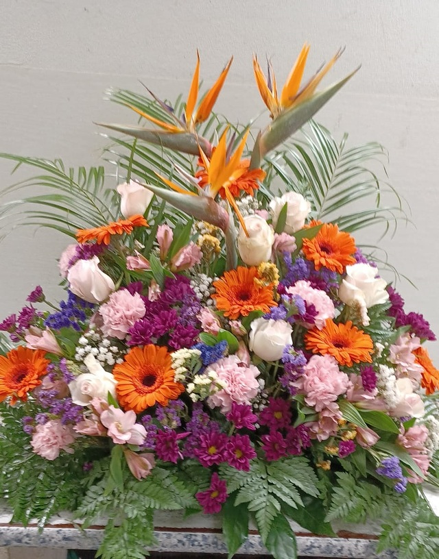 Flores Lázaro Baeta 3