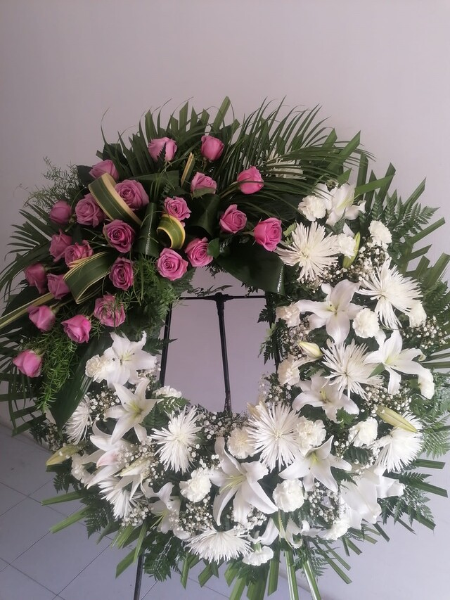 Flores Lázaro Baeta 2