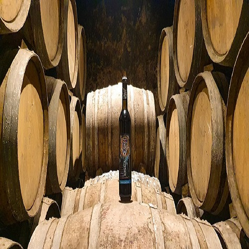 Bodegas Osca Lascellas-Ponzano