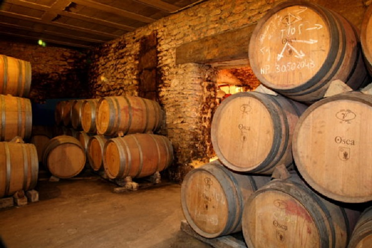 Bodegas Osca 2