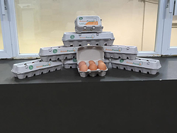 Galería de imágenes