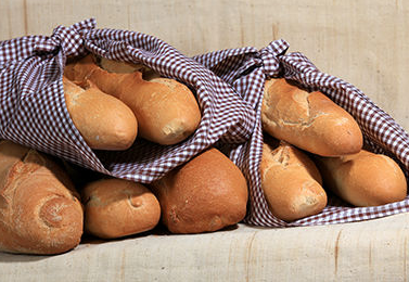 Galería de imágenes