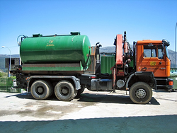 Galería de imágenes