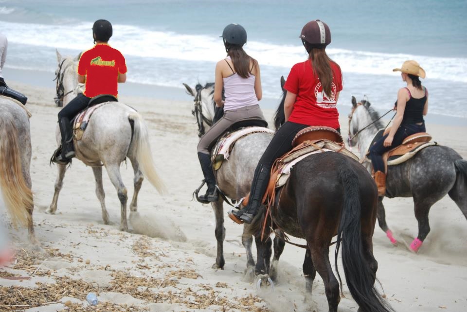 Galería de imágenes