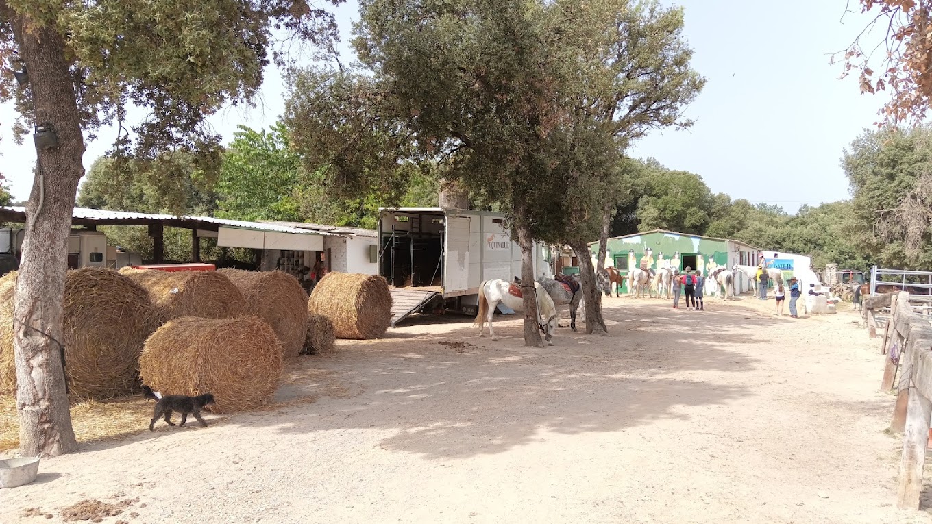 Galería de imágenes