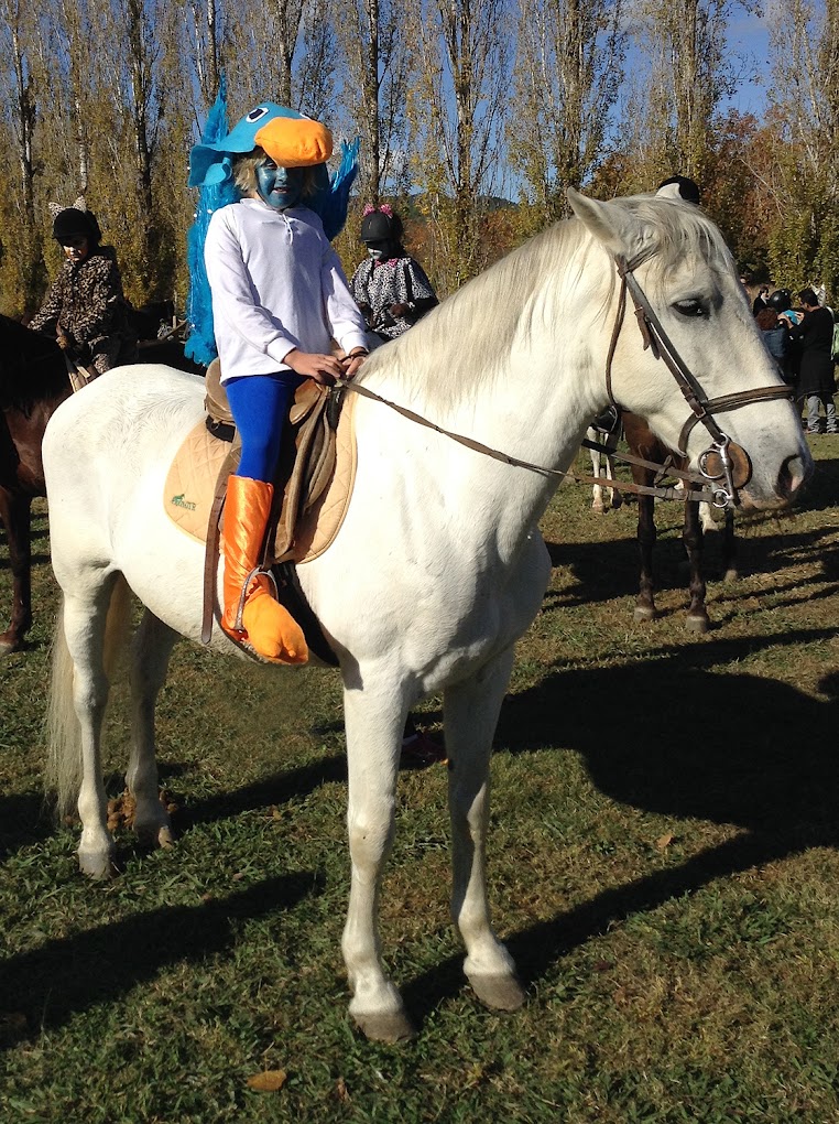 Galería de imágenes