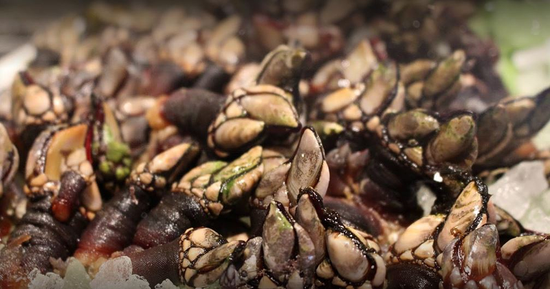 Restaurante Fayago 2