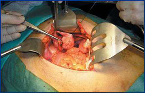 Ur&oacute;logo Jos&eacute; Miguel Jim&eacute;nez 3