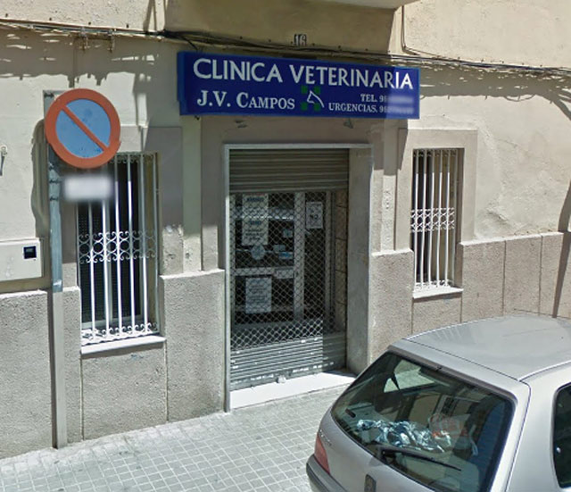 Clinica Veterinaria Amparo Beltran CLINICAS VETERINARIAS