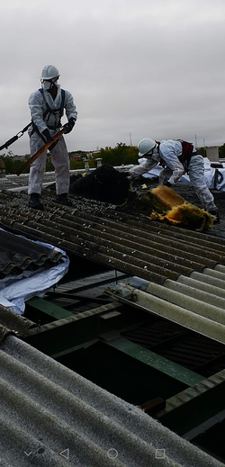 Galería de imágenes