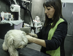 Galería de imágenes