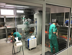 Galería de imágenes