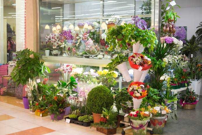 Guzm&aacute;n Floristas FLORISTERIAS