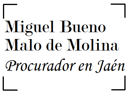 Procurador Miguel Bueno Malo De Molina