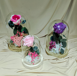 Imagen de Floristería Puri