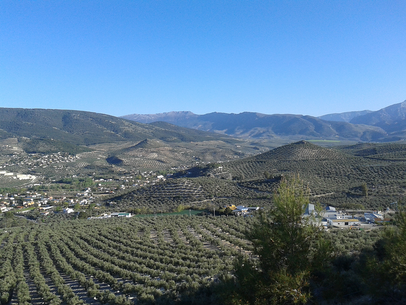 Notar&iacute;a Loma - Ossorio Y Garc&iacute;a 2
