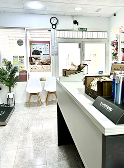 Galería de imágenes