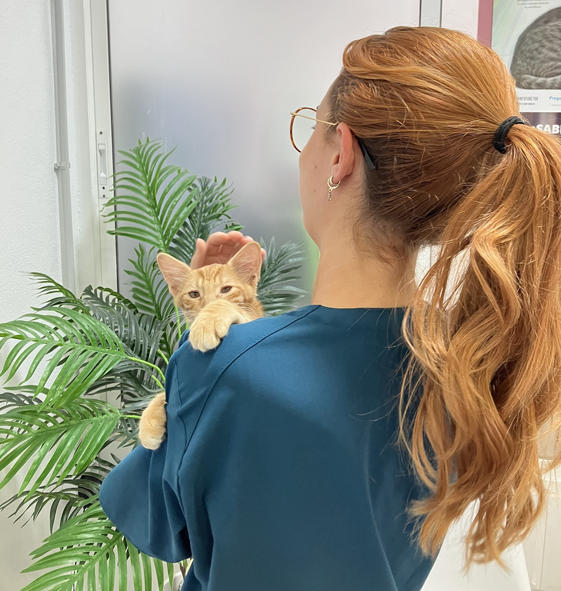 Clinica Veterinaria Mistercan 6