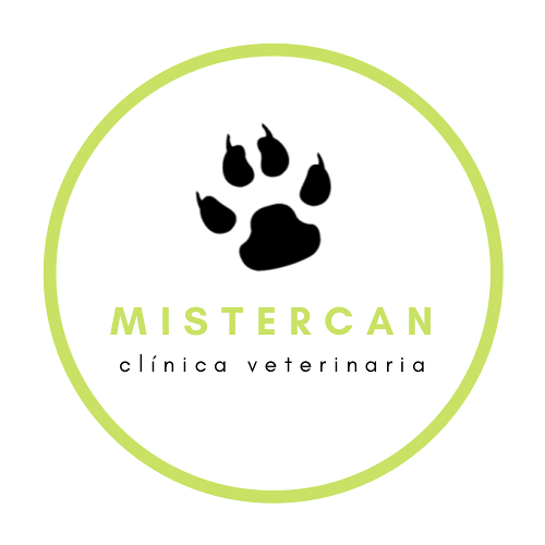 Clinica Veterinaria Mistercan 3