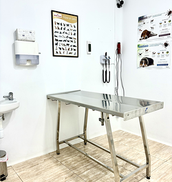 Galería de imágenes