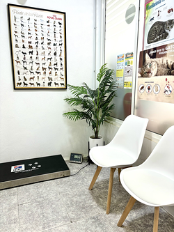 Galería de imágenes