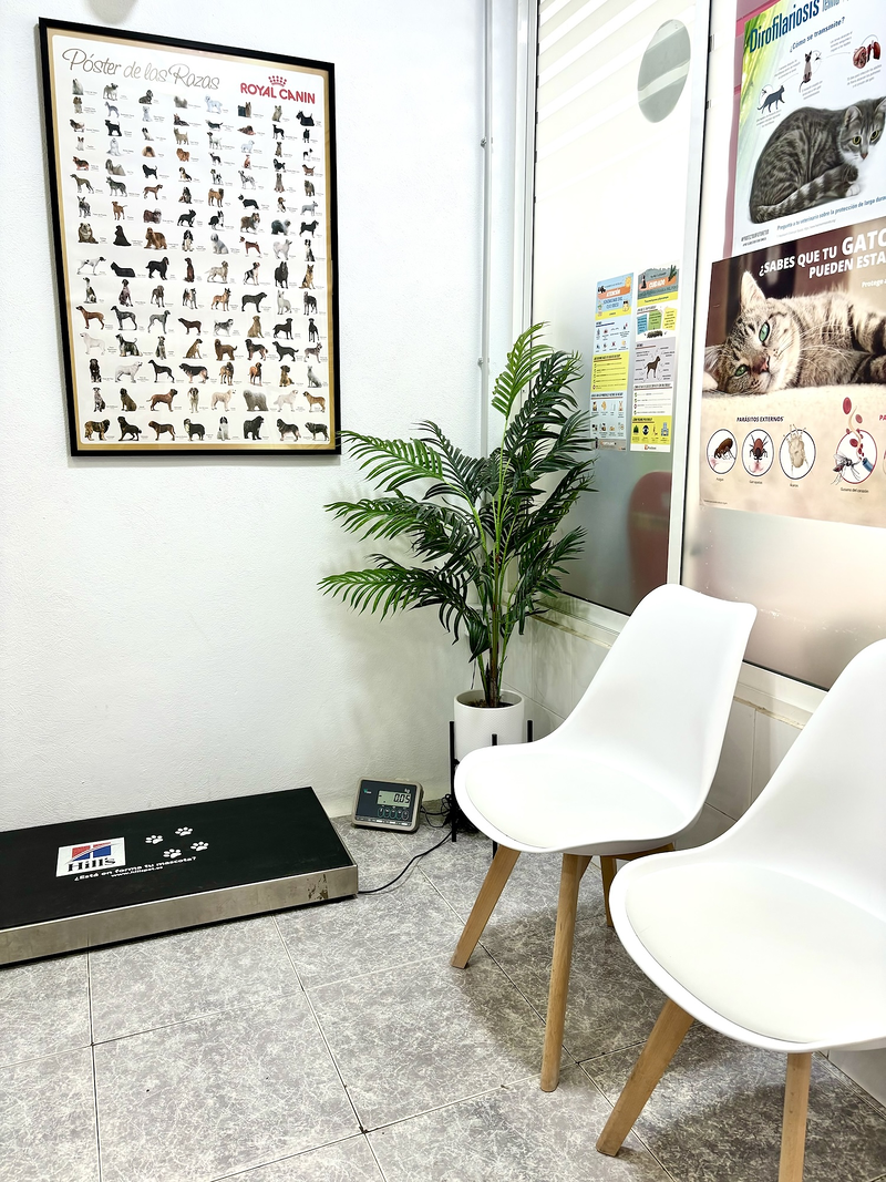 Clinica Veterinaria Mistercan CLINICAS VETERINARIAS