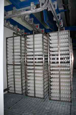 Galería de imágenes