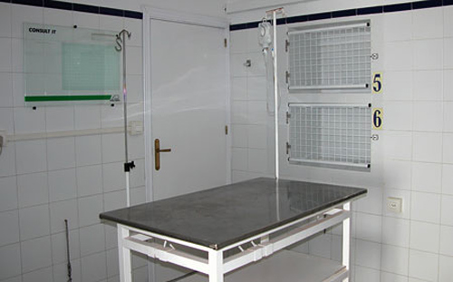 Cl&iacute;nica Veterinaria El Acuario 4