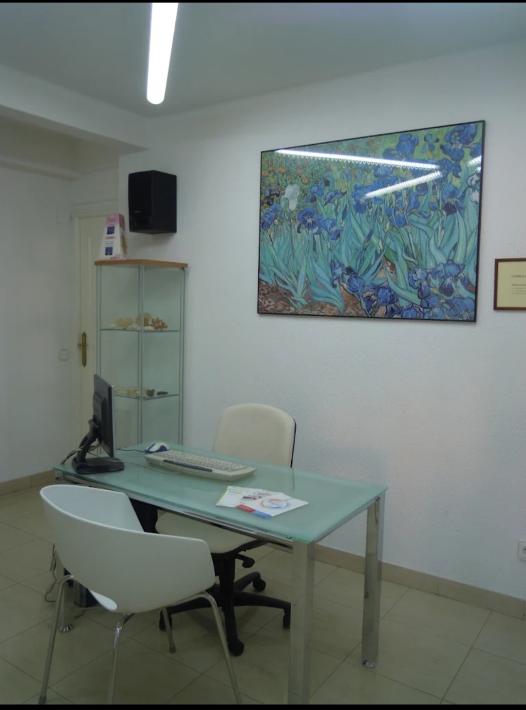 Galería de imágenes