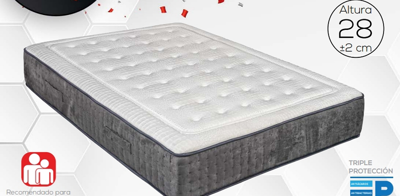 Colchoner&iacute;a Prieta 4